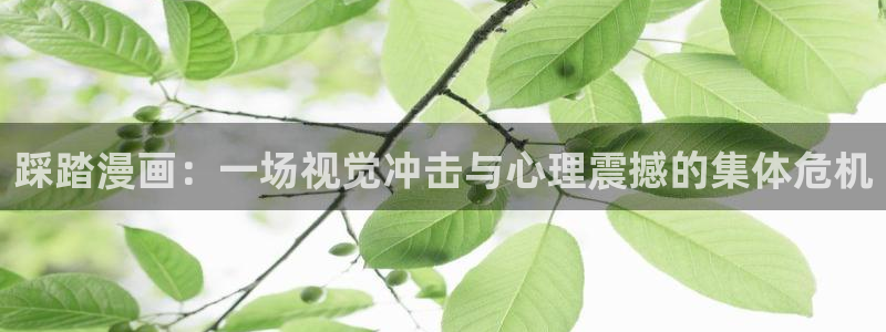 酷漫屋下载安装：踩踏漫画：一场视觉冲击与心理震撼的集体危机