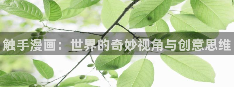 酷漫屋免费漫画下拉式：触手漫画：世界的奇妙视角与创意思维